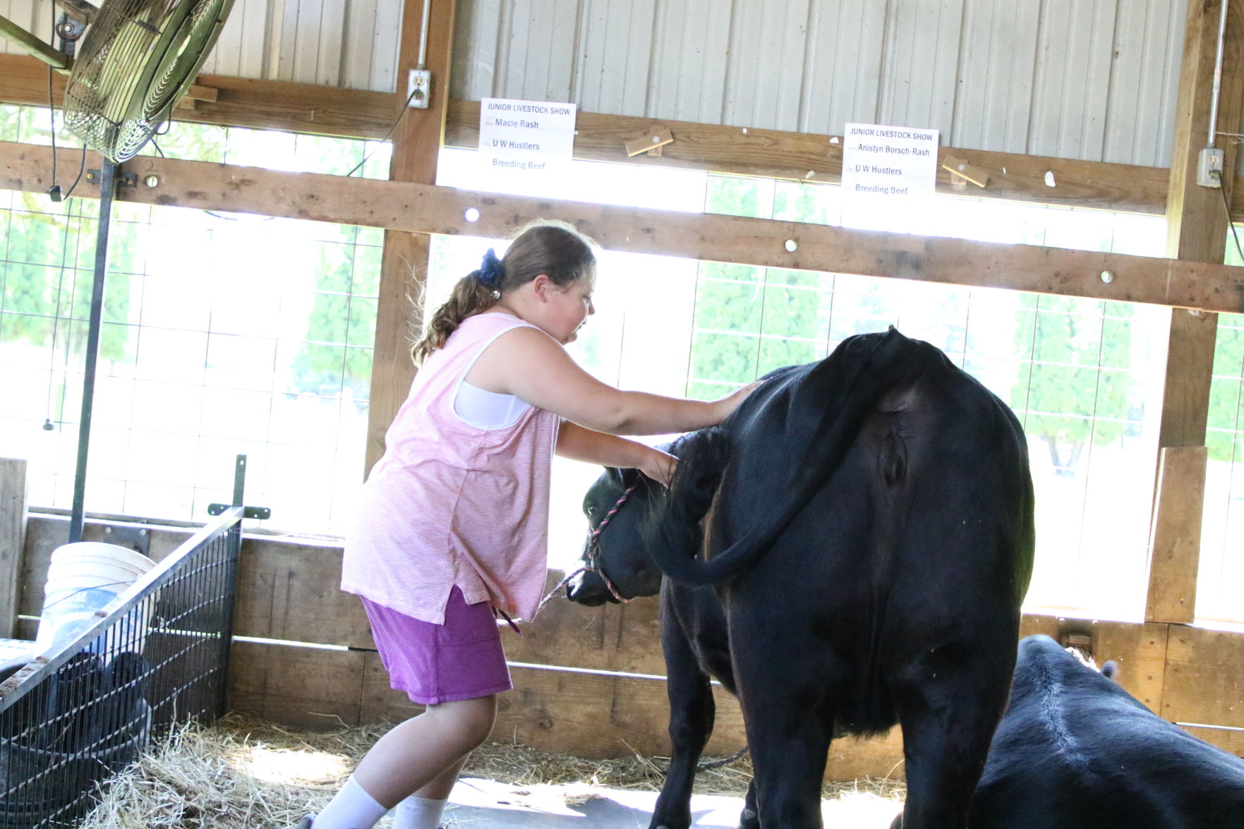 Animal Barns_606.JPG